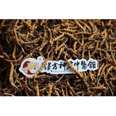 哪些人適合吃冬蟲夏草，這幾類人要注意！