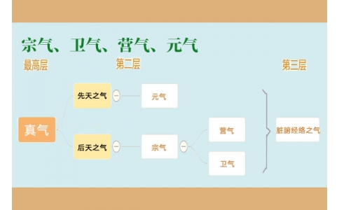 中醫(yī)里的“宗氣”、“衛(wèi)氣”、“營氣”、“元氣”